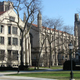 Illustration for article titled Notre Dame and UChicago Face New Federal Investigations for Potential Title IX Violations